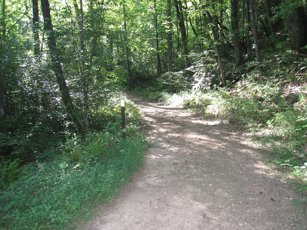 Helen to Unicoi 2010 0245.jpg - The trail from Helen Georgia to the lodge at Unicoi State Park makes a fun six mile run. July 2010 and 90 degrees makes it a little bit more of a workout.